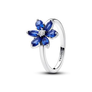Каблучка Pandora Сяючий гербарій 193000C01